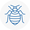 Bed Bug Extermination In Woodside Park
