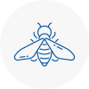 Bee Nest Removal Woodside Park