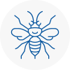 Woodside Park Hornet Nest Removals