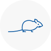 Mice Exterminators In Woodside Park