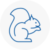 Woodside Park Rodent Removals