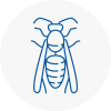 Woodside Park Wasp Nest Removal